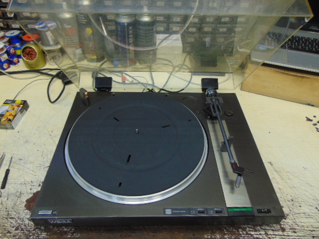 SONY WEGA P555