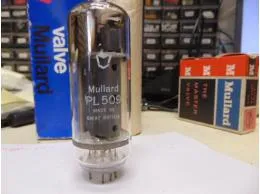 PL509 Mullard