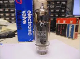 PL509 Mullard