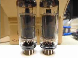 6P1P-EV Reflector