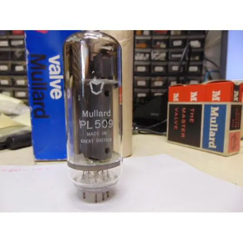 PL509 Mullard